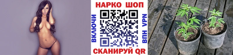 Названия наркотиков Фролово Канабис  Меф  КОКАИН  A PVP  ГАШИШ 