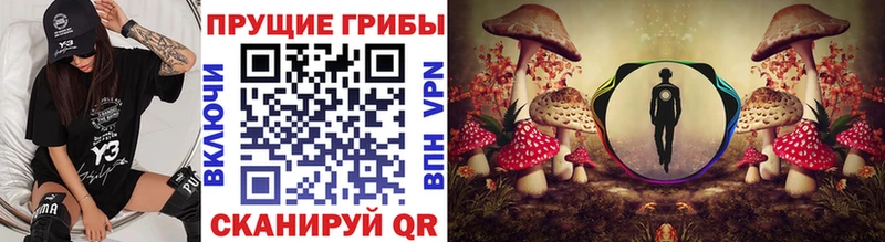 Галлюциногенные грибы Magic Shrooms  мориарти клад  Фролово 